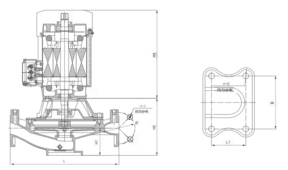 Stainless steel vertical pipeline centrifugal pump (3)