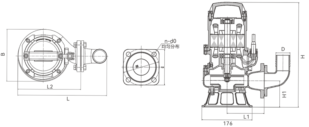 immersion electric pump (3)